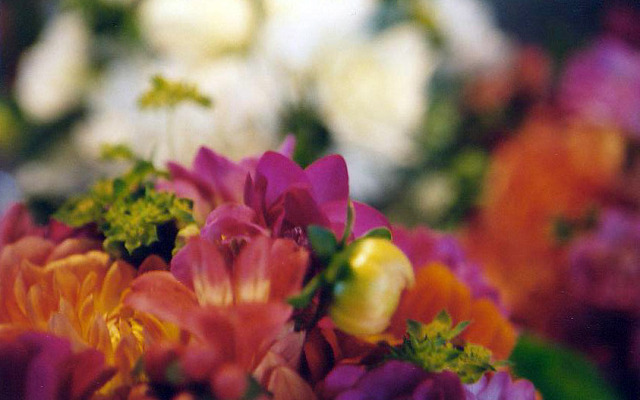 vivid_colors.jpg