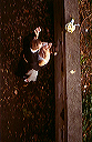 dancing2