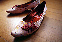 the_shoes