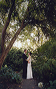 under_the_trees
